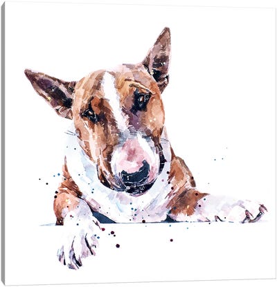 Bull Terrier Canvas Art Print - EdsWatercolours