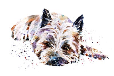 Cairn Terriers