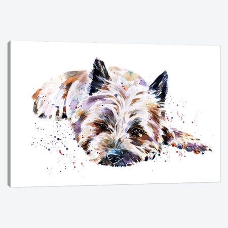 Cairn Terrier I Canvas Print #EWC47} by EdsWatercolours Art Print