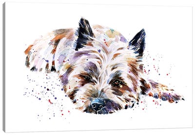 Cairn Terrier I Canvas Art Print - EdsWatercolours