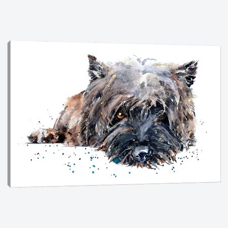 Cairn Terrier II Canvas Print #EWC48} by EdsWatercolours Canvas Artwork