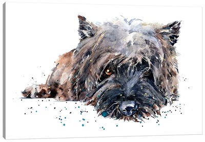 Cairn Terrier II Canvas Art Print - EdsWatercolours