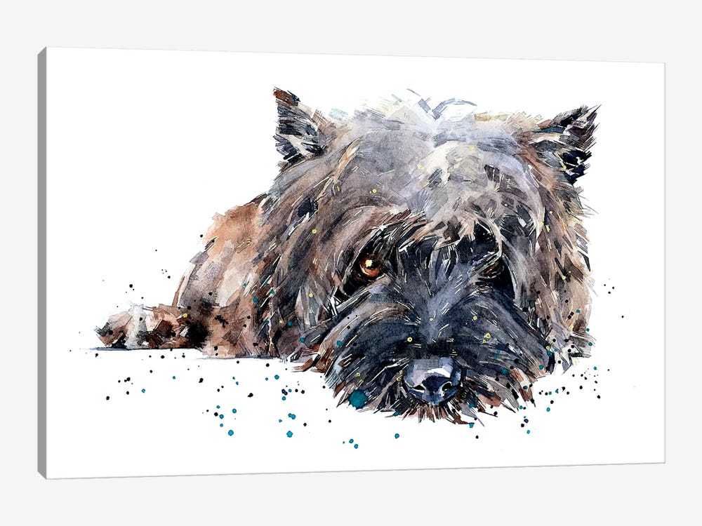Cairn Terrier II by EdsWatercolours 1-piece Canvas Art