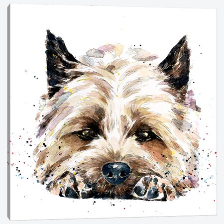 Cairn Terrier In Your Face Canvas Print #EWC49} by EdsWatercolours Canvas Artwork