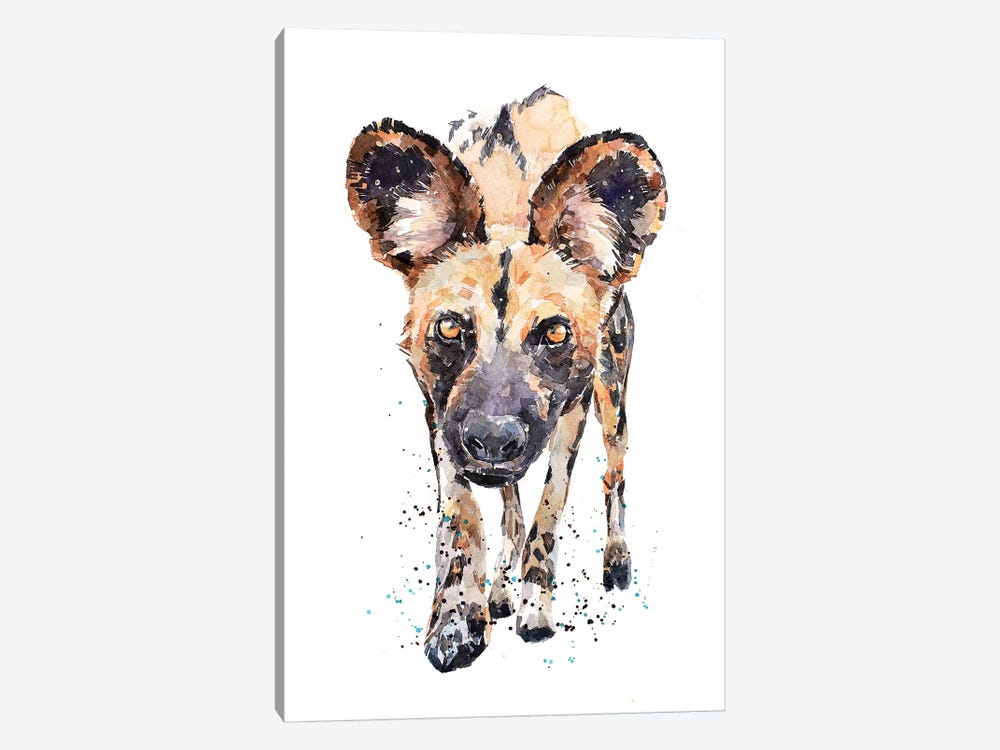 African Wild Dog What's Cooking by EdsWatercolours 1-piece Canvas Wall Art