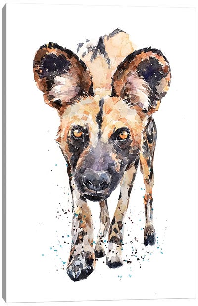 African Wild Dog What's Cooking Canvas Art Print - Wildlife Conservation Art