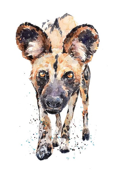 Wildlife Conservation: African Wild Dog What's Cooking by EdsWatercolours
