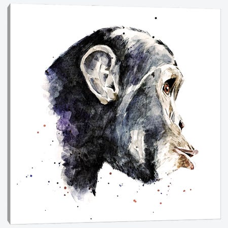Chimp Canvas Print #EWC56} by EdsWatercolours Canvas Wall Art