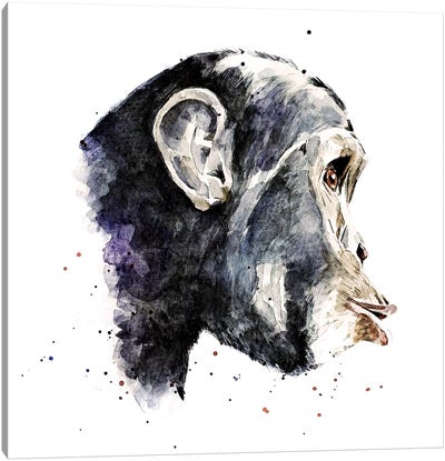 Chimp Canvas Art Print - EdsWatercolours