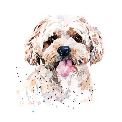 Cockapoo I by EdsWatercolours framed canvas print