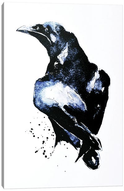 Crow Canvas Art Print - EdsWatercolours