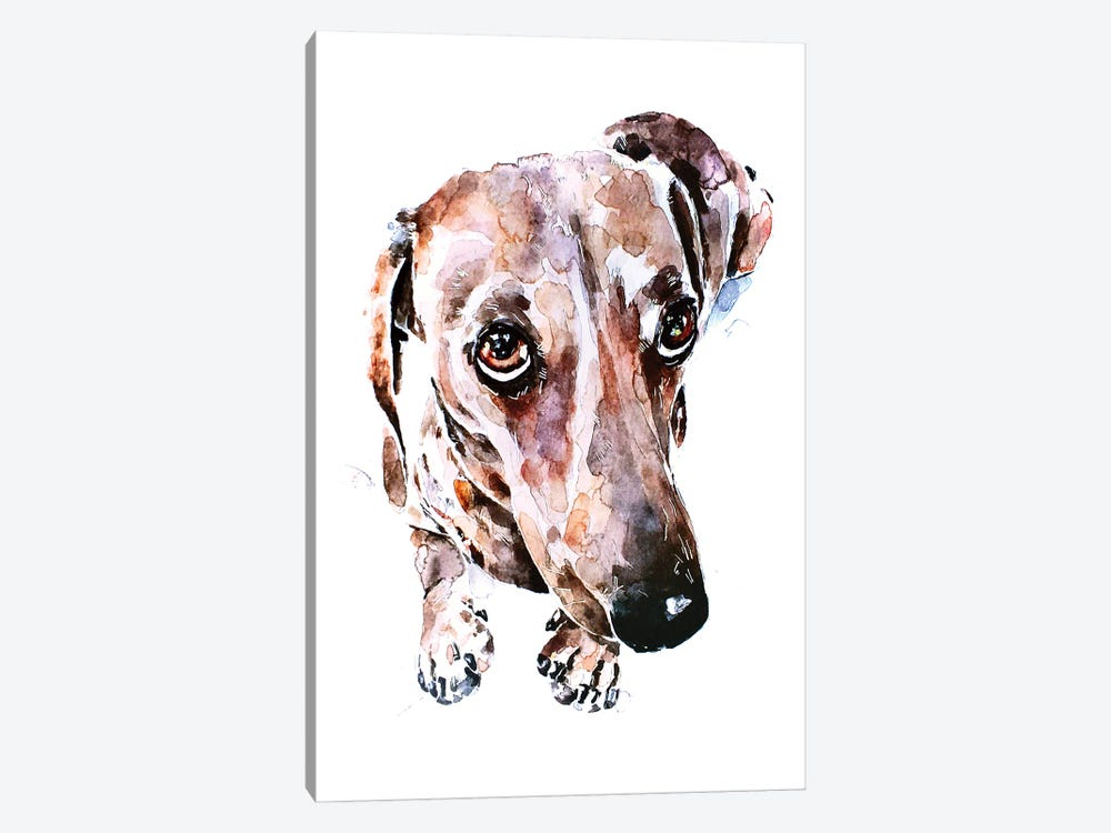 Dachshund Soulful Eyes by EdsWatercolours 1-piece Canvas Art Print