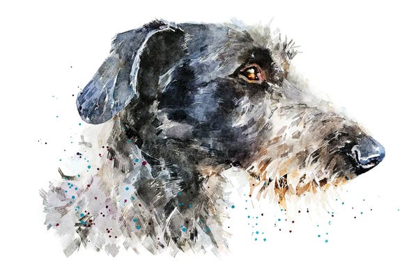 EdsWatercolours: Deer Hound by EdsWatercolours
