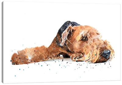 Airedale Canvas Art Print - Airedale Terrier Art
