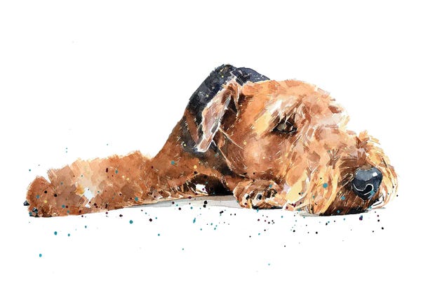 Airedale Terriers