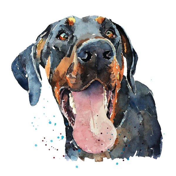 Doberman Pinschers: Doberman Smile by EdsWatercolours
