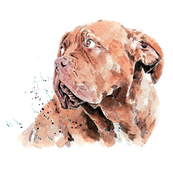 EdsWatercolours: Dogue De Bordeaux I by EdsWatercolours