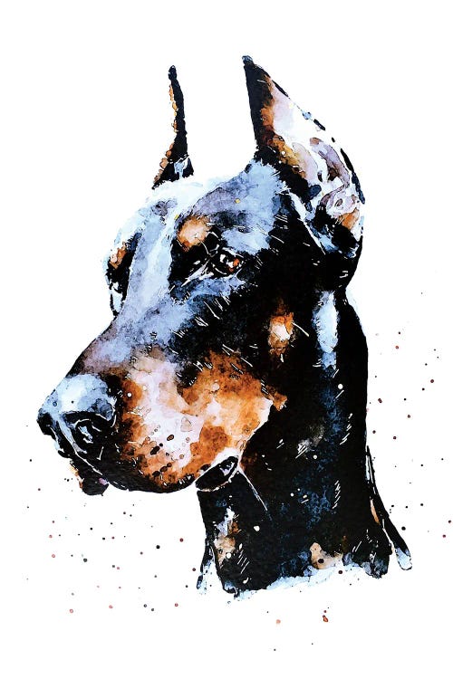 Don Doberman