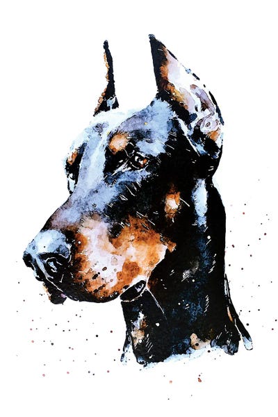 Doberman Pinschers: Don Doberman by EdsWatercolours