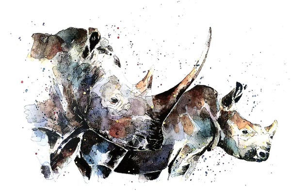 Rhinoceroses: Double Trouble Rhinos by EdsWatercolours