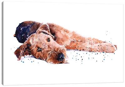 Airedale I Canvas Art Print - Airedale Terriers