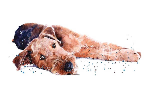 Terriers: Airedale I by EdsWatercolours
