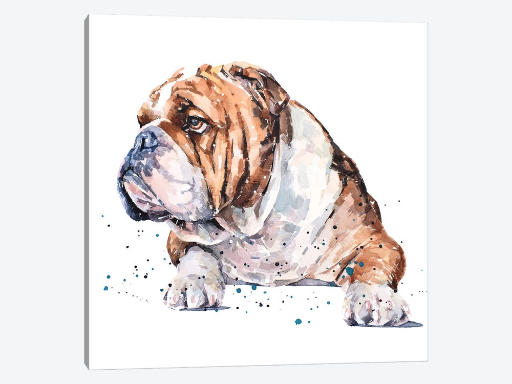 English Bull Dog I by EdsWatercolours 1-piece Art Print