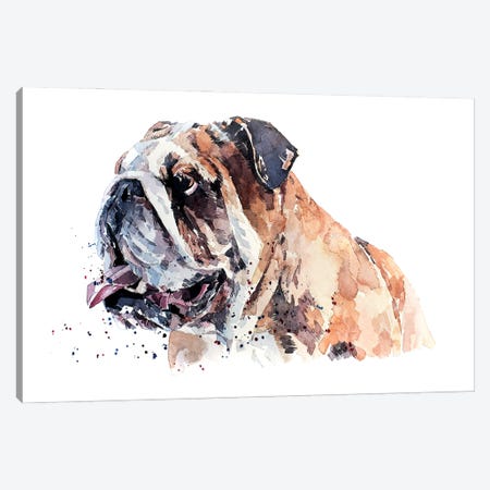 English Bull Dog II Canvas Print #EWC82} by EdsWatercolours Canvas Art