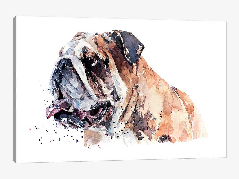 English Bull Dog II by EdsWatercolours 1-piece Canvas Art