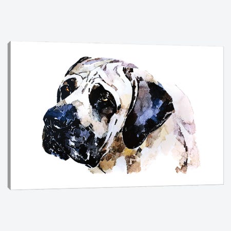 English Mastiff Canvas Print #EWC83} by EdsWatercolours Canvas Art