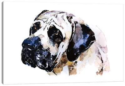 English Mastiff Canvas Art Print