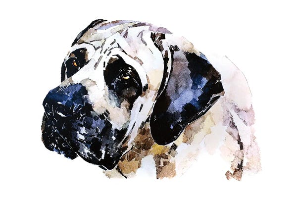 EdsWatercolours: English Mastiff by EdsWatercolours