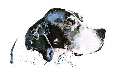 English Pointer by EdsWatercolours canvas print