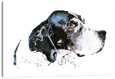English Pointer Canvas Art Print - Pointers & Setters