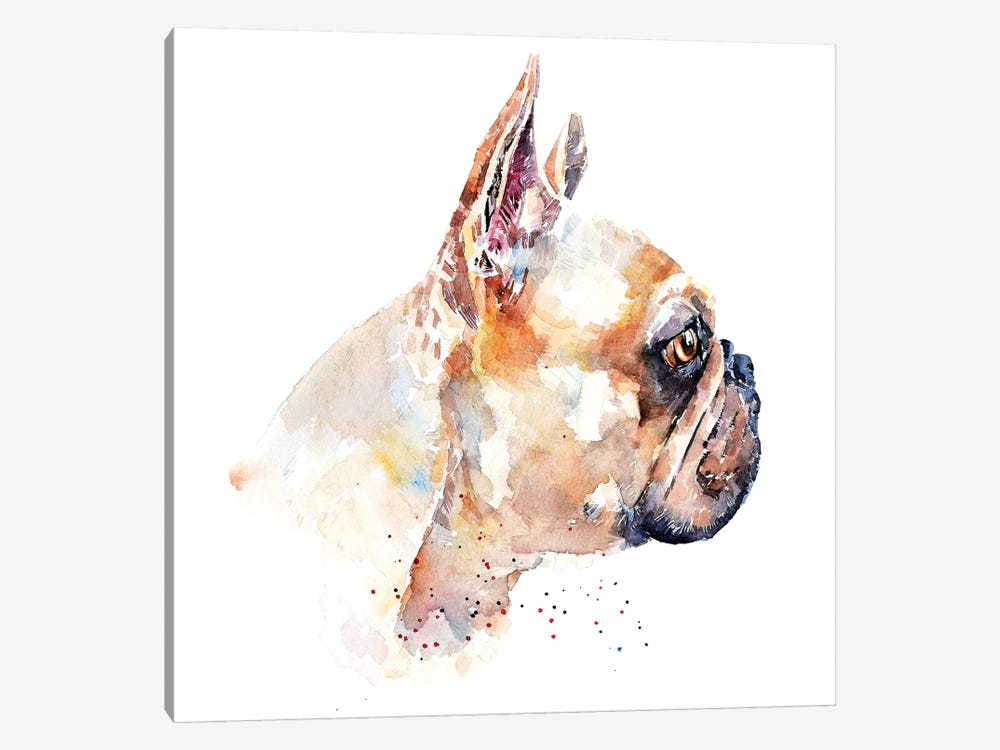 Frenchie by EdsWatercolours 1-piece Canvas Print
