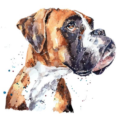 German Boxer by EdsWatercolours acrylic art print