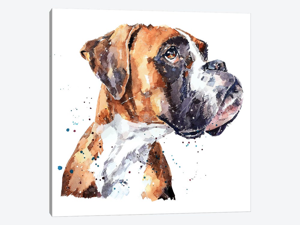 German Boxer by EdsWatercolours 1-piece Canvas Wall Art