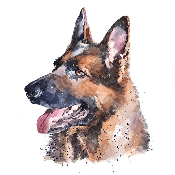 EdsWatercolours: German Shepherd I by EdsWatercolours