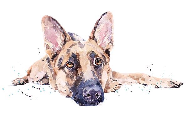 German Shepherds: German Shepherd II by EdsWatercolours
