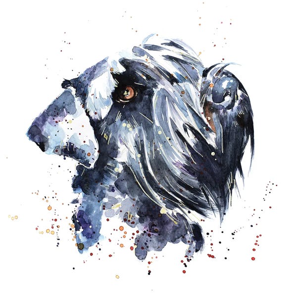 Schnauzers: Giant Schnauzer by EdsWatercolours