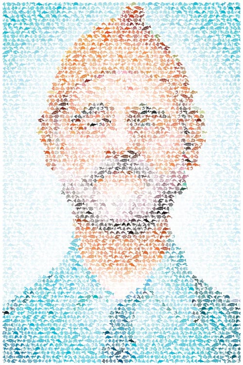 Steve Zissou