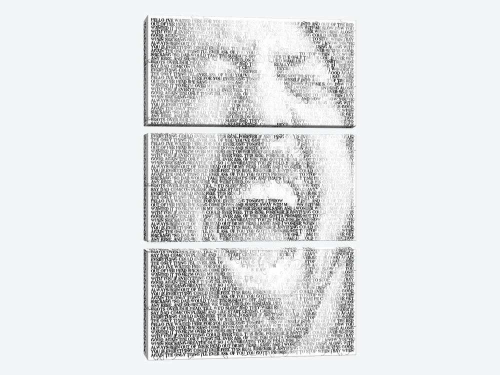 Grohl 3-piece Canvas Wall Art