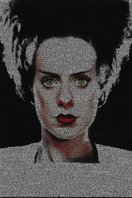 The Bride Of Frankenstein