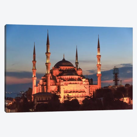 Turkey, Istanbul. Sultan Ahmet Mosque, Rooftop view. Canvas Print #EWI17} by Emily Wilson Canvas Wall Art