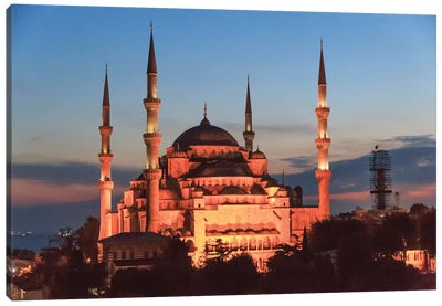 Turkey, Istanbul. Sultan Ahmet Mosque, Rooftop view. Canvas Art Print - Turkey Art