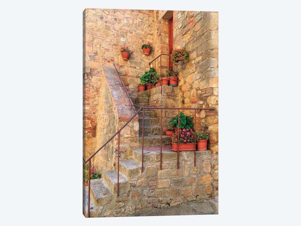 Italy, Val d'Orcia in Tuscany, province of Siena, Monticchiello. Stairs with potted flowers. by Emily Wilson 1-piece Art Print