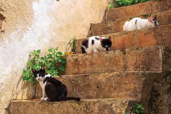 Emily Wilson: Spain, Balearic Islands, Mallorca, Santanyi, Cala Figuera. Small, colorful fishing harbor by Emily Wilson
