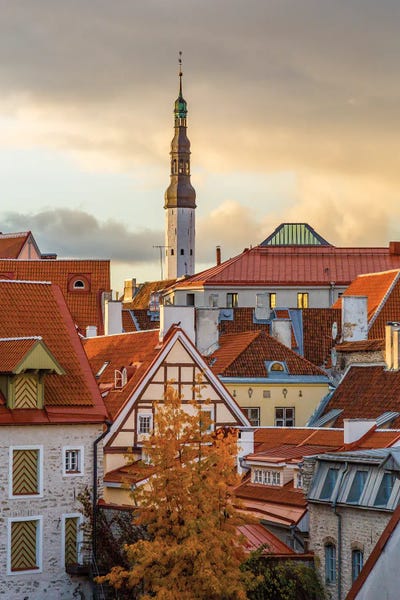 Baltic States, Estonia, Tallinn. Rooftops near city walls. by Emily Wilson art print