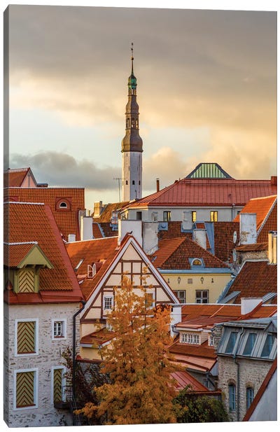 Baltic States, Estonia, Tallinn. Rooftops near city walls. Canvas Art Print
