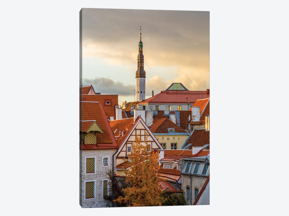 Baltic States, Estonia, Tallinn. Rooftops near city walls. by Emily Wilson 1-piece Canvas Art